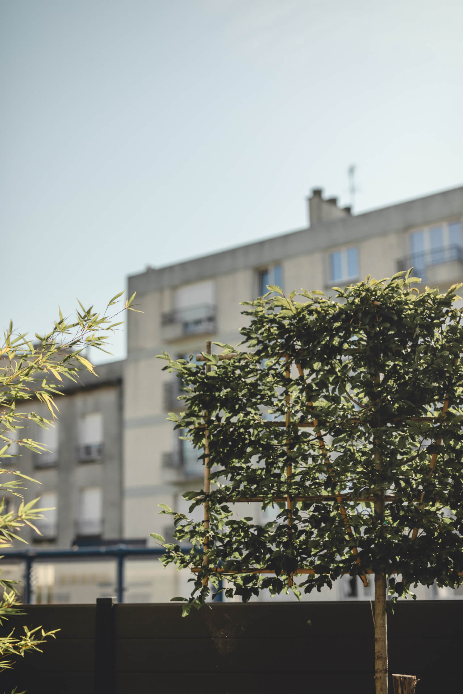 Jardin centre ville brest bulle urbaine