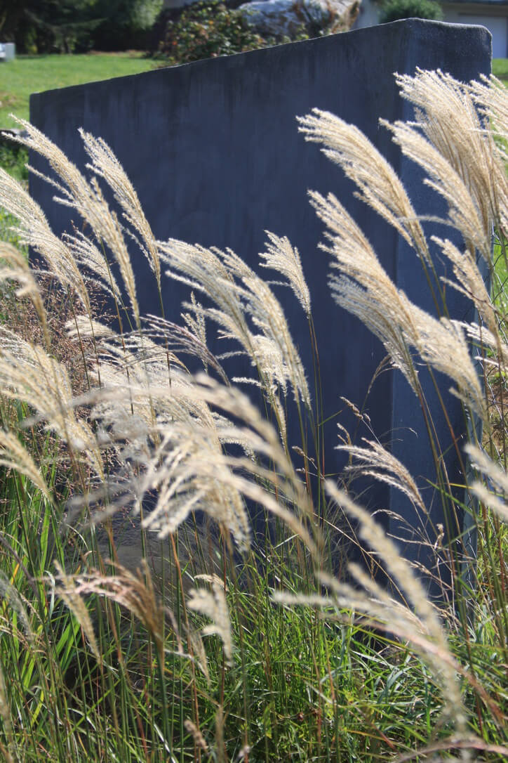 Jardin contemporain Plougastel Daoulas