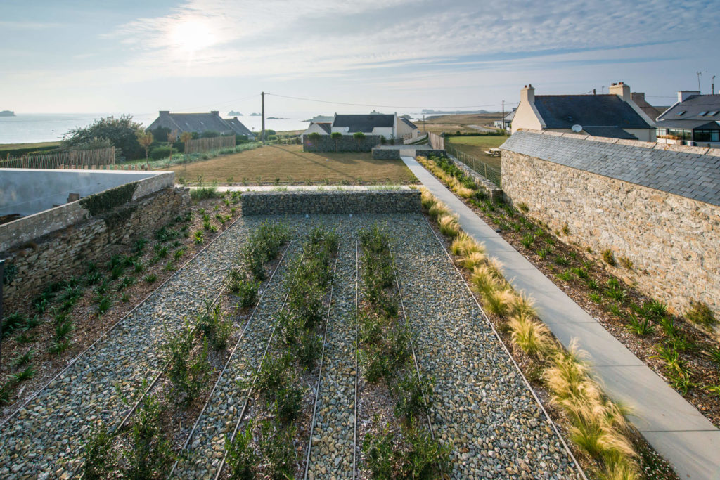 Jardin à Porspoder paysagiste dunes et rochers