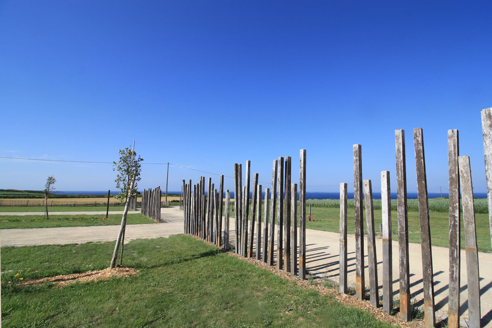 La colonie de trezien