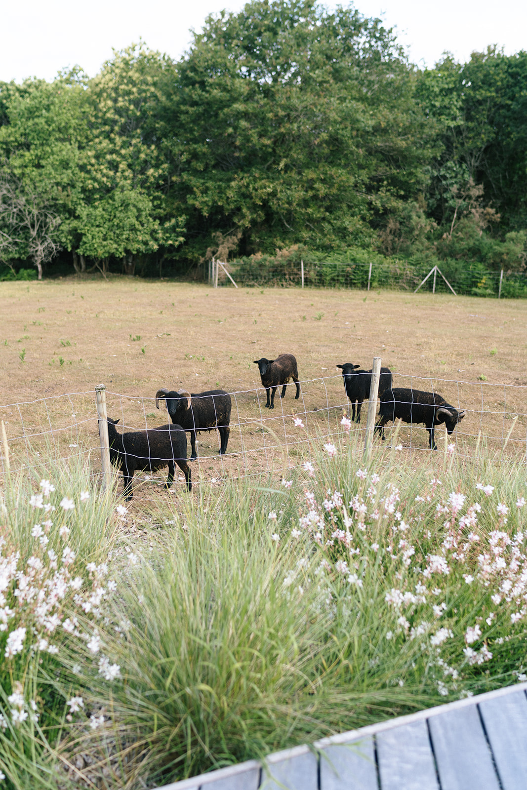 Jardin naturaliste