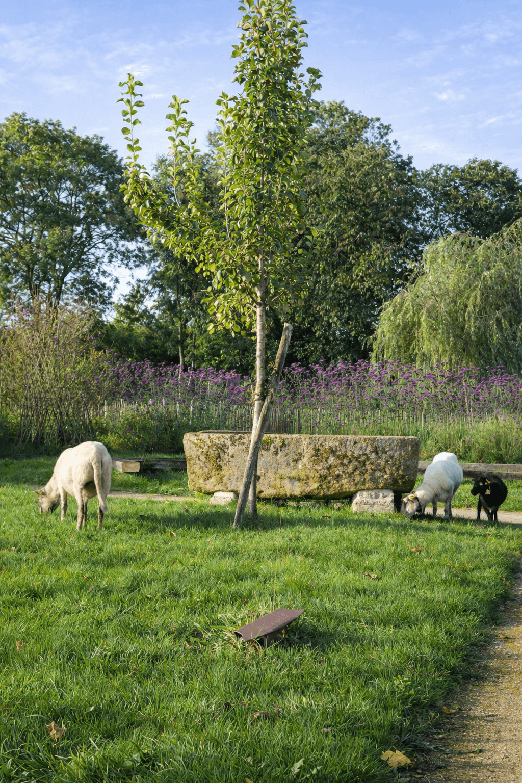 Architecte extérieur Brest Finistère Bretagne - Les Jardins de l&rsquo;Eveil 14